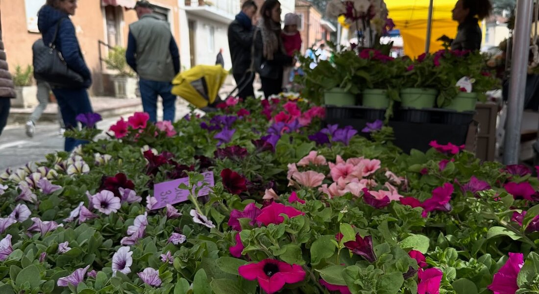 OrtoGiardinoVino&Dispensa 2026 - Motta di Costigliole d'Asti