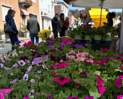 OrtoGiardinoVino&Dispensa 2026 - Motta di Costigliole d'Asti