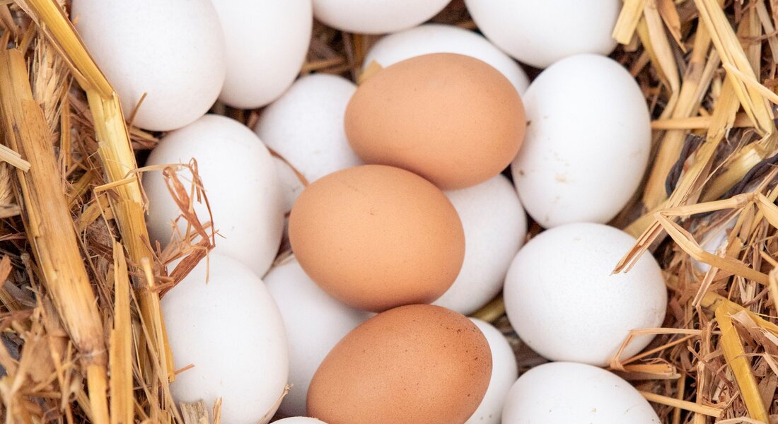 Cantè J'Euv  dj’Amis - Monticello d'Alba (CN)