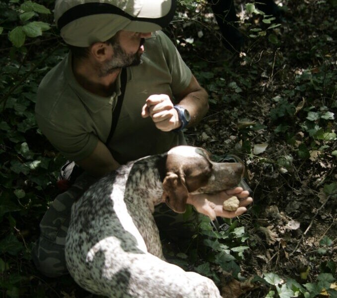 Cerca del tartufo e pranzo di primavera - Montà d'Alba (CN)