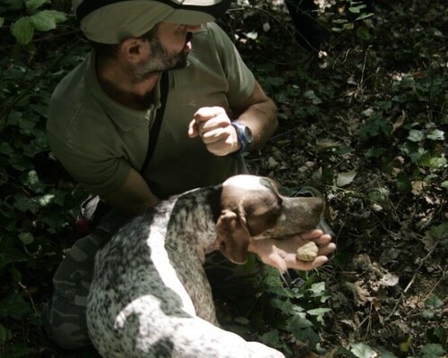 Cerca del tartufo e pranzo di primavera - Montà d'Alba (CN)