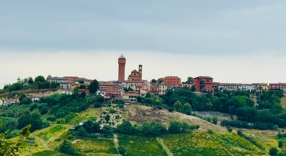 Festa di Agosto - Mini Sagre - Mongardino (AT)