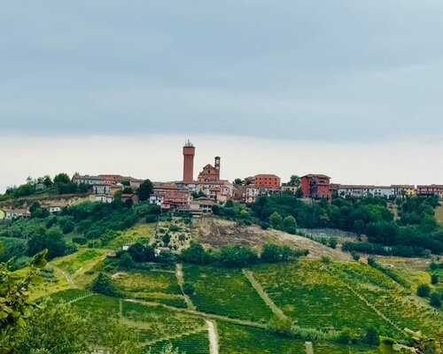 Festa di Agosto - Mini Sagre - Mongardino (AT)