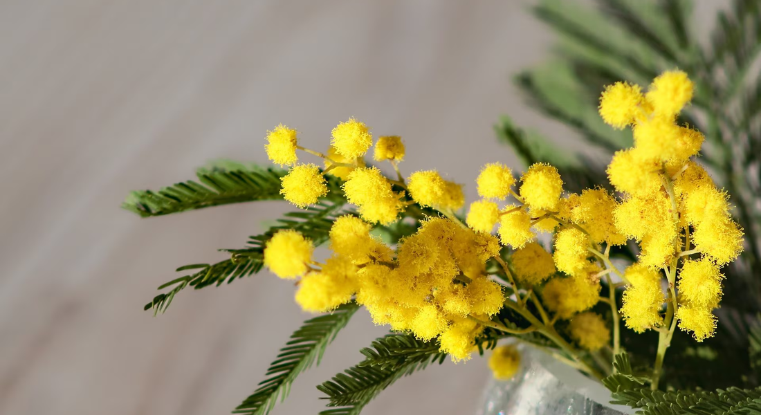 "Artiste, scienziate ed eroine. Storie di resilienza femminile" - Asti