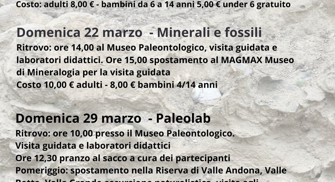 Le giornate delle famiglie al Museo dei Fossili - Asti