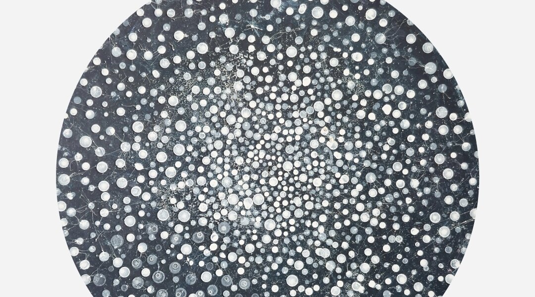 Exhibition “Lode all’istante”- Fabio Refosco - Neive 