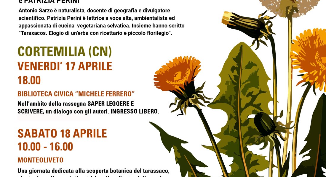Discover and savor the local area through wild herbs: the dandelion - Cortemilia 