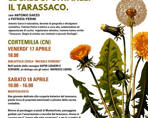 Discover and savor the local area through wild herbs: the dandelion - Cortemilia 