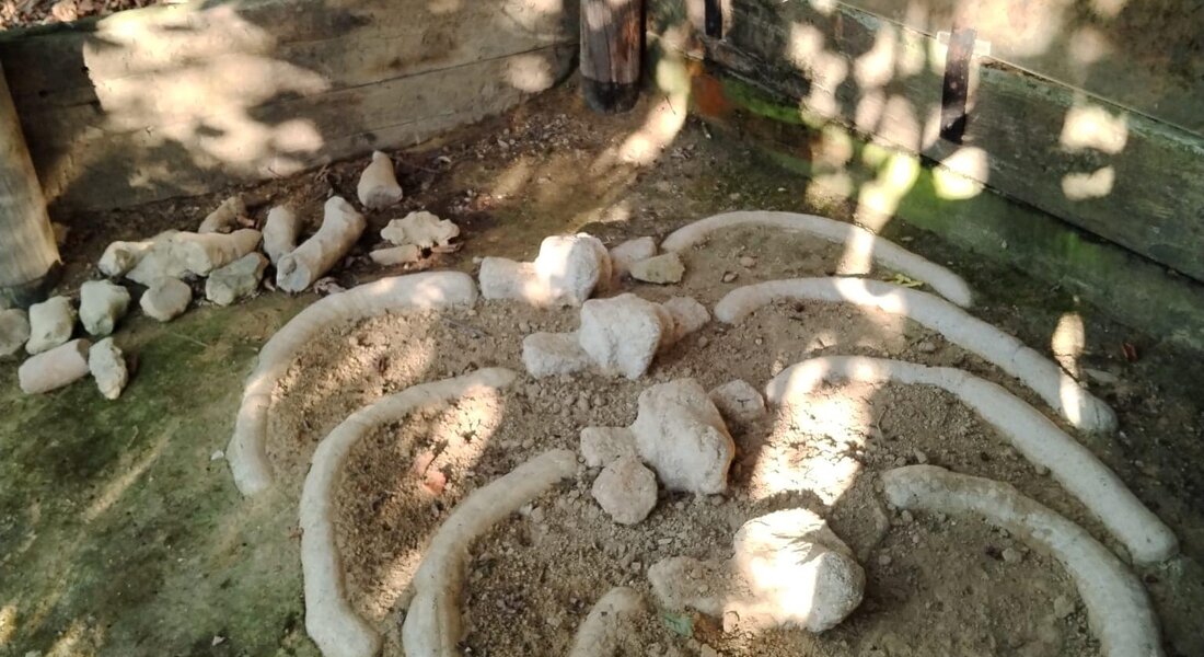 Su e Giù Per Le Colline Del Mare - Vigliano d'Asti