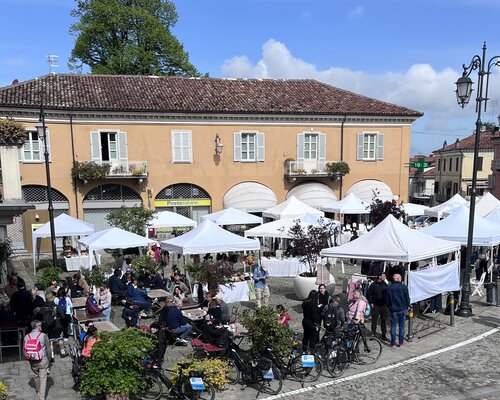 Marché de Monforte d'Alba