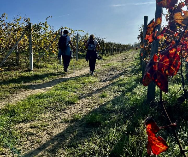 Guided Walks Spring 2026 - Langhe