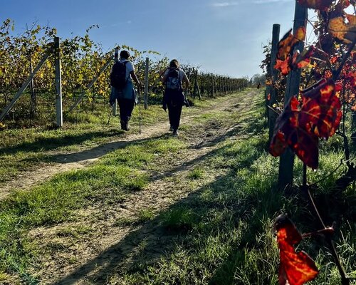 Escursioni in Primavera 2026 - Langhe