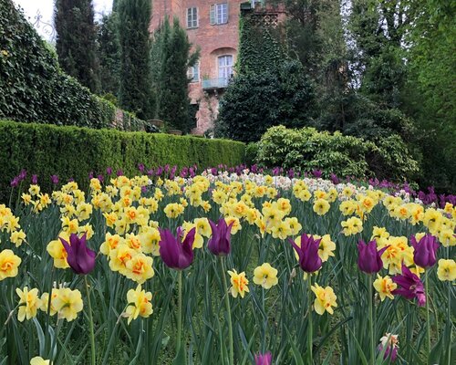 Il Narciso Incantato 2026 - Piea