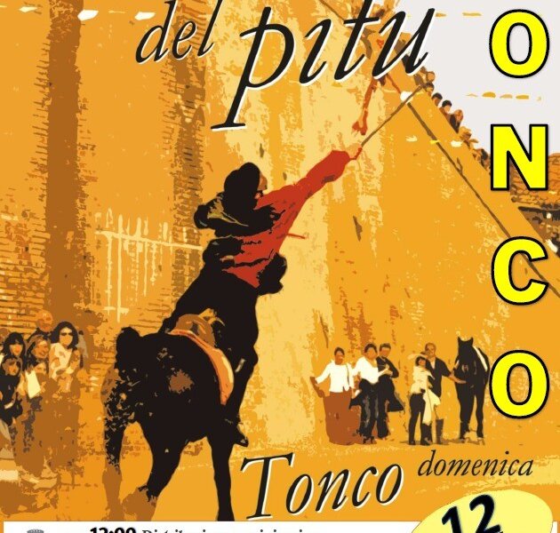 Giostra del Pitu - Tonco