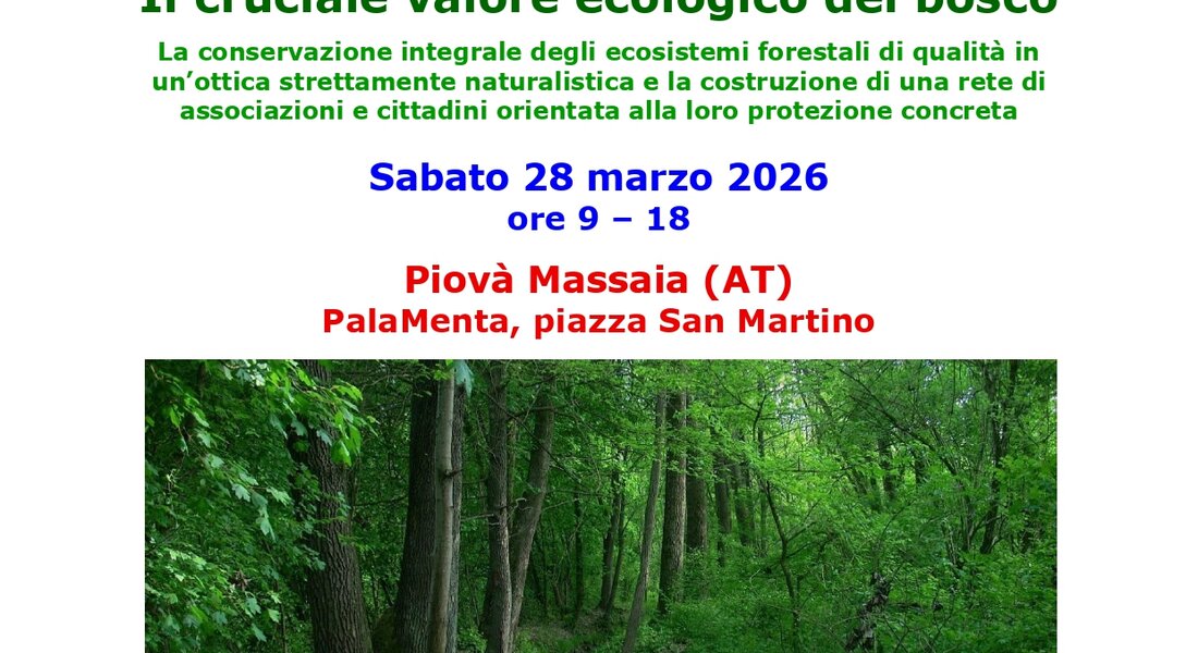 Il cruciale valore ecologico del bosco - Piovà Massaia 