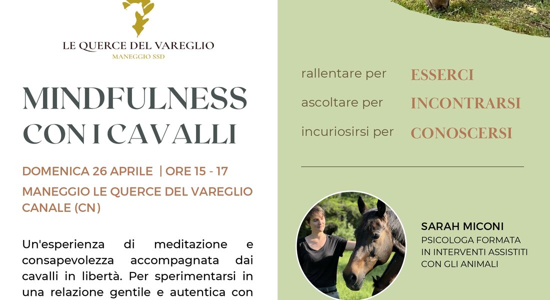Mindfulness con i Cavalli - Canale 