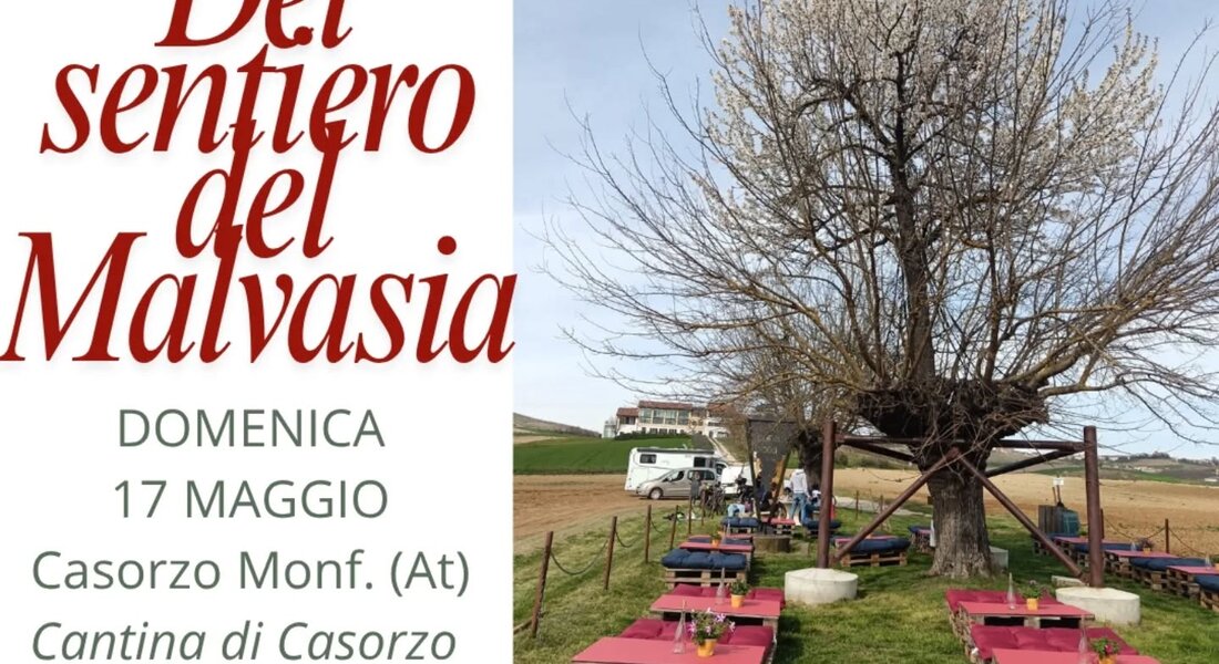 Wine Trekking sul sentiero del Malvasia - Casorzo (AT)