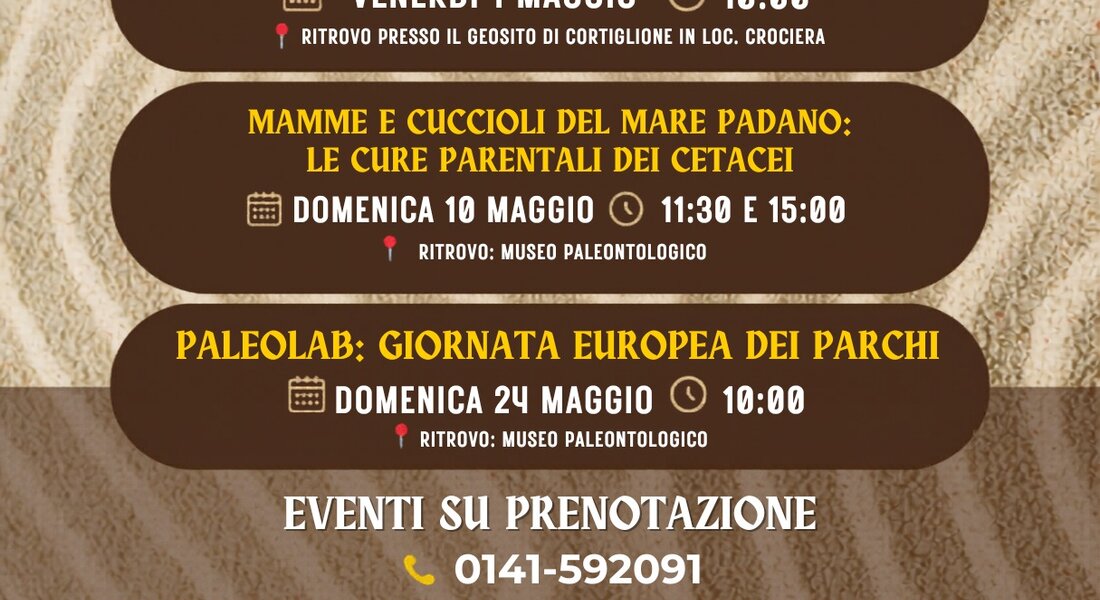 Family Days at the Paleontological Museum - Asti