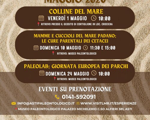 Le giornate delle famiglie al Museo dei Fossili - Asti