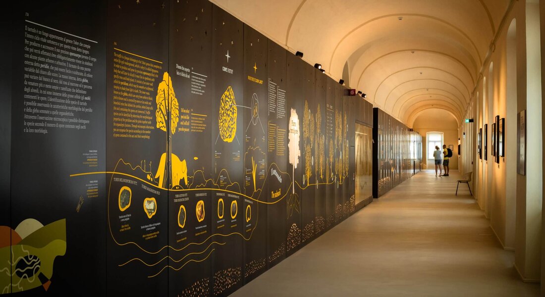 Guided tours of MUDET - Alba