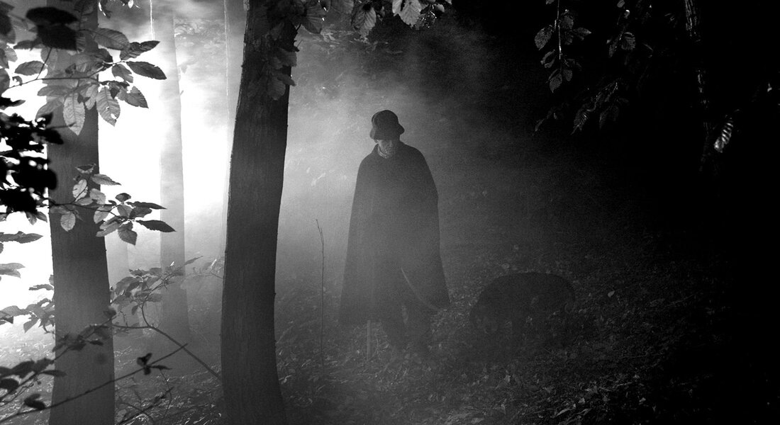 Trifolao in bianco e nero - Alba