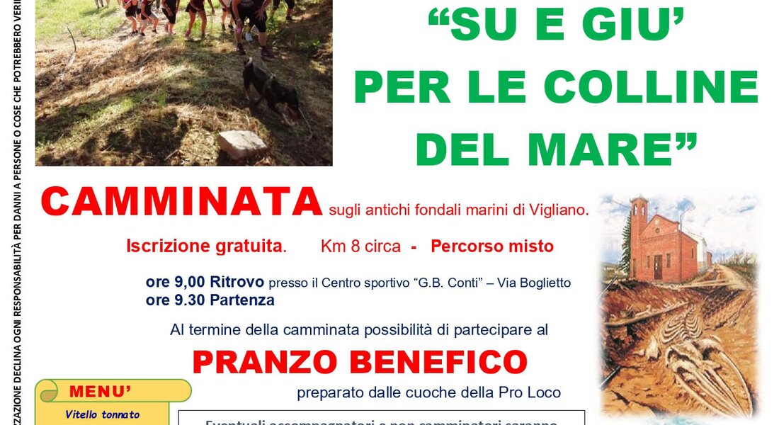 Su e Giù Per Le Colline Del Mare - Vigliano d'Asti