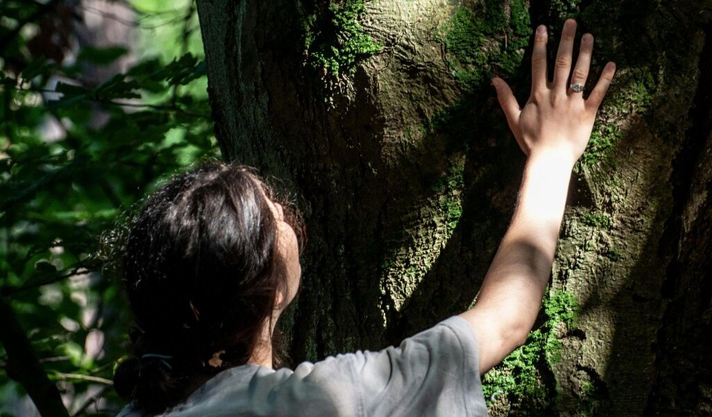 Movimento consapevole nel bosco - Lequio Berria