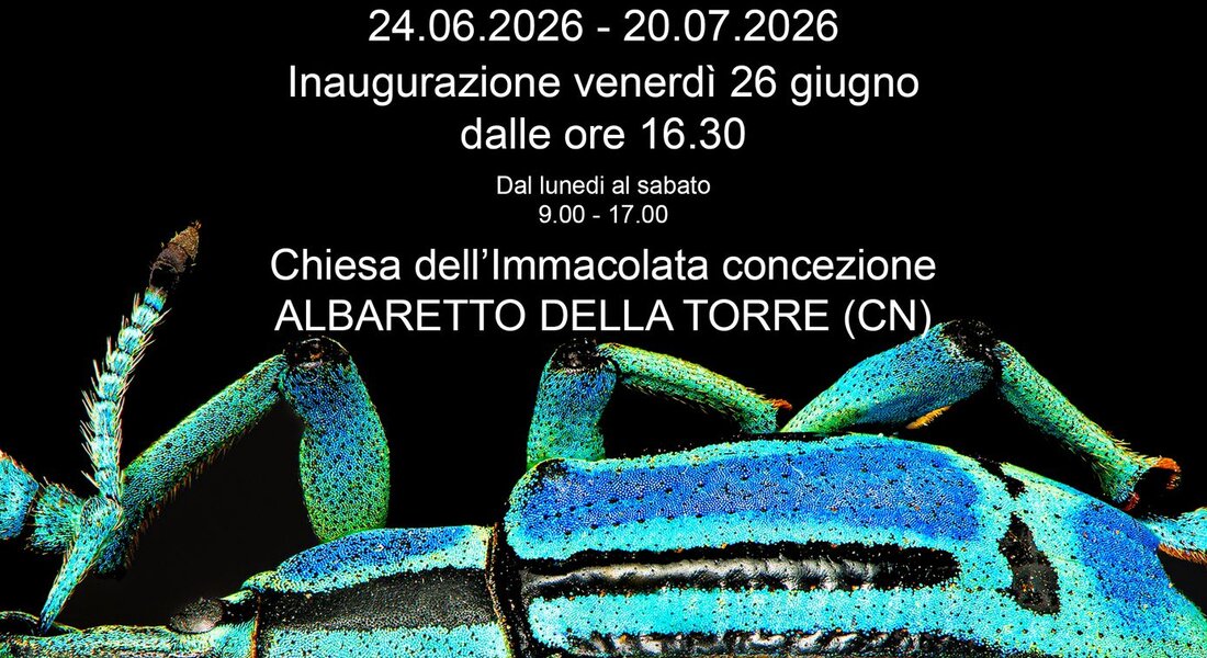 Exhibition "Insecta" - Albaretto della Torre
