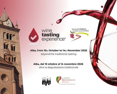 Wine Tasting Experience - Alba