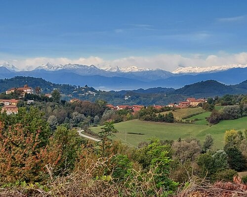 PoMonf Verde per Giovani  - Berzano San Pietro