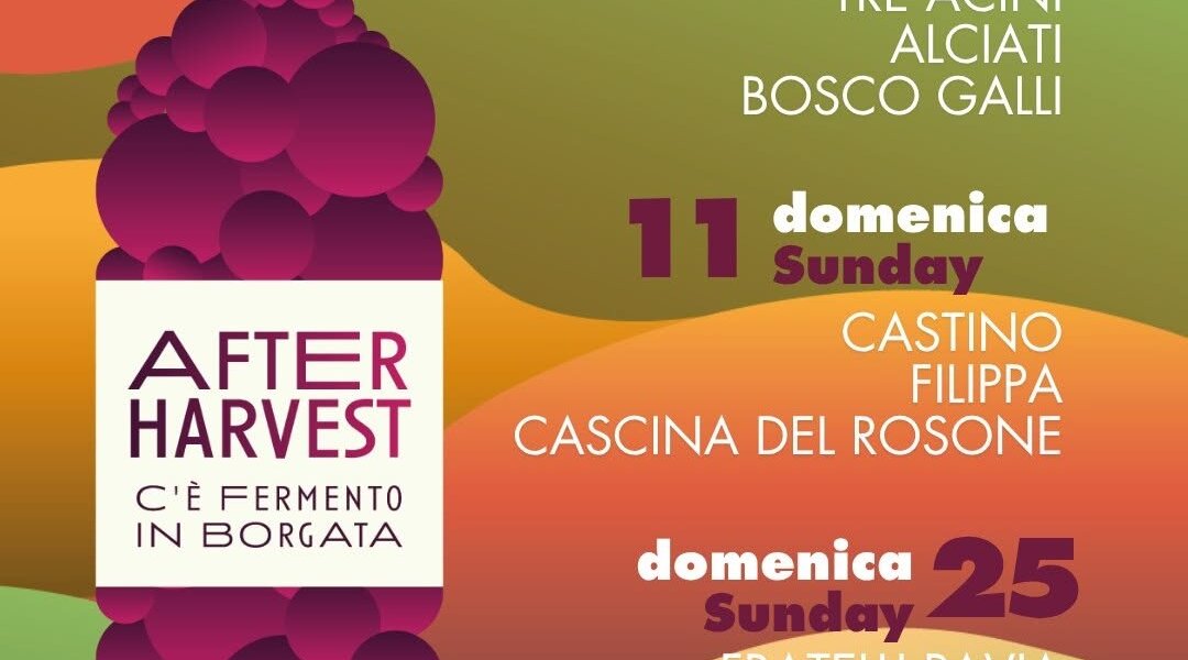 "After Harvest: c'è fermento in borgata!" - Agliano Terme (AT)