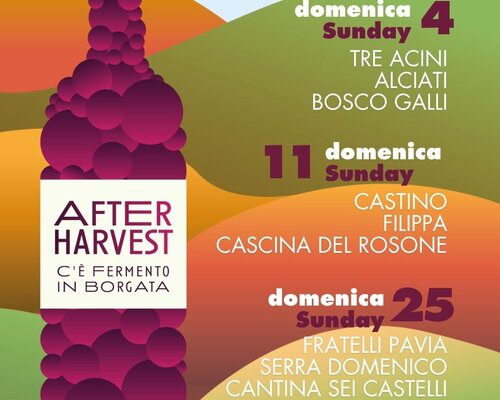 "After Harvest: c'è fermento in borgata!" - Agliano Terme (AT)