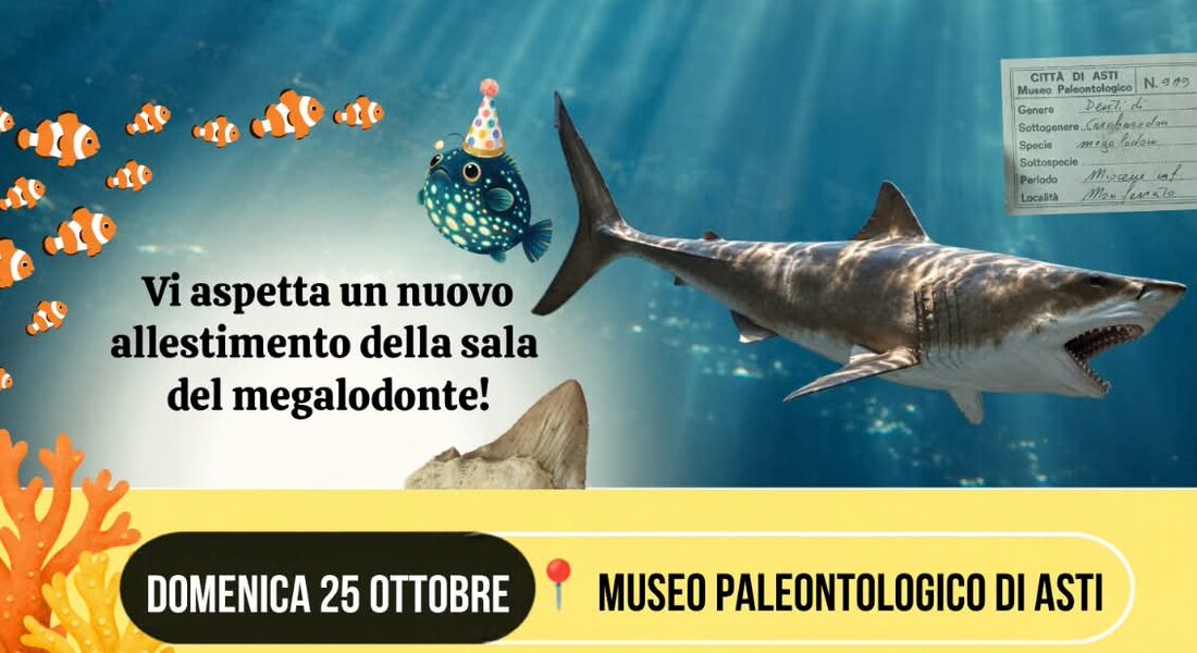Compleanno del Museo - Asti