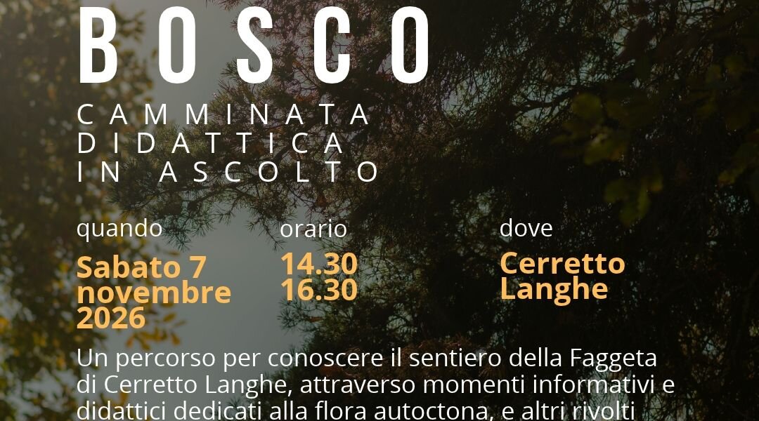 “Essere bosco: camminata didattica in ascolto” - Cerretto Langhe