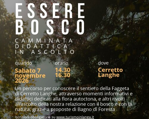 “Essere bosco: camminata didattica in ascolto” - Cerretto Langhe