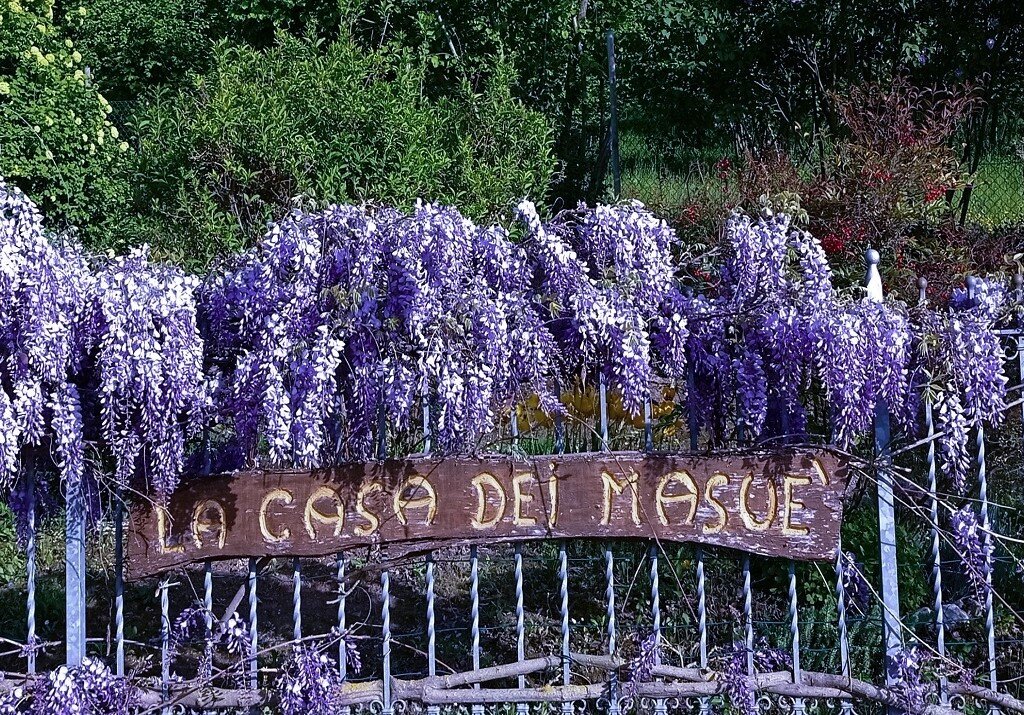 ALBA AGR LA CASA DEI MASUE' 2COM