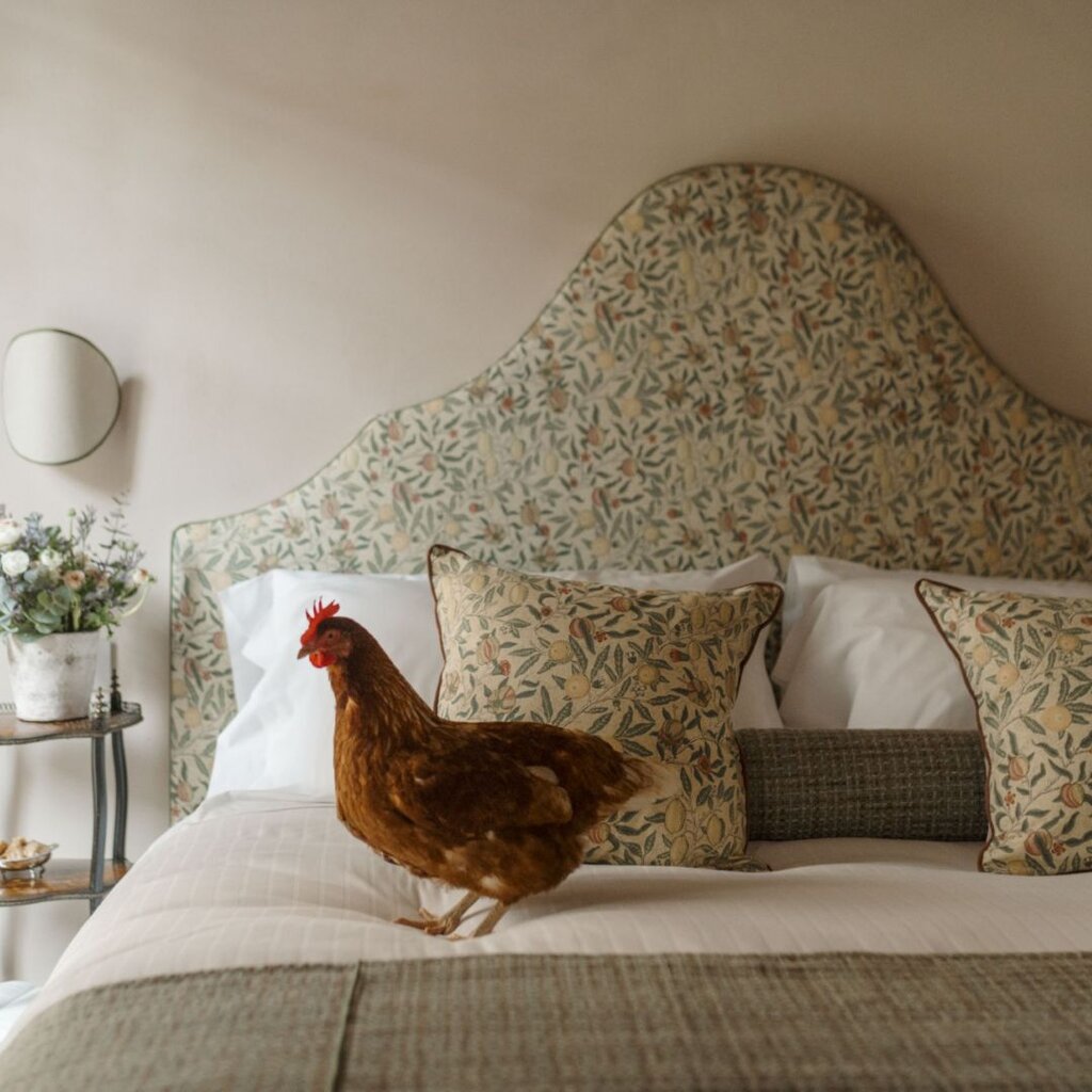 Canale Tre Galline 1