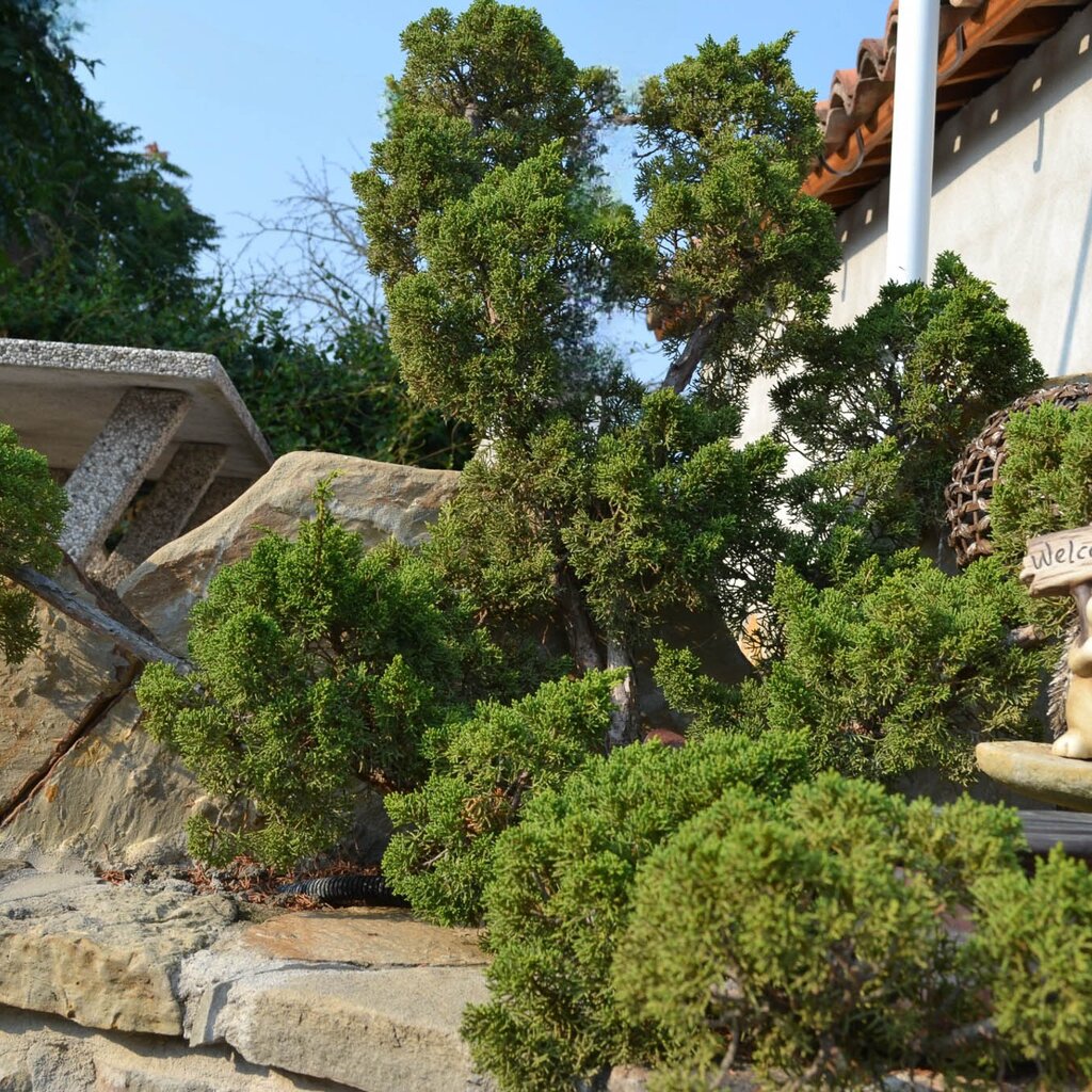CASTIGLIONE TINELLA AGR SAN MARTINO (3)