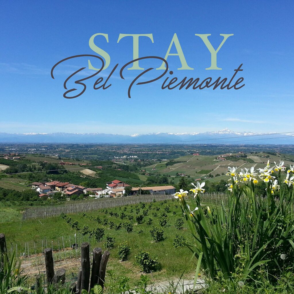 DOGLIANI AFF STAY BEL PIEMONTE (2)
