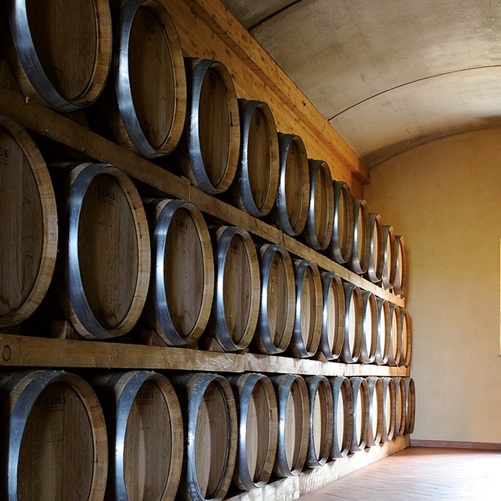 LA MORRA AGR TENUTA L'ILLUMINATA (1)
