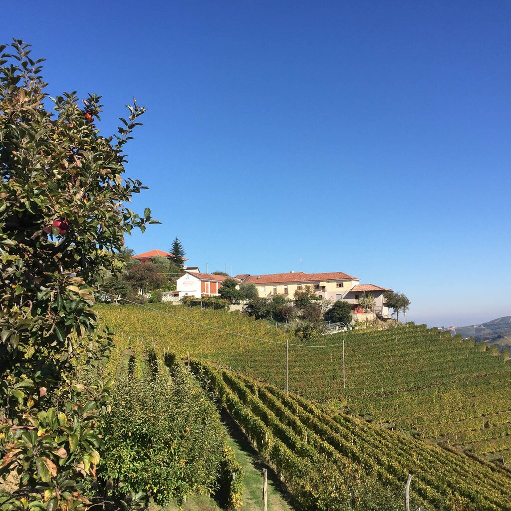 TREZZO TINELLA AGR FINESTRE DI LANGA (3)