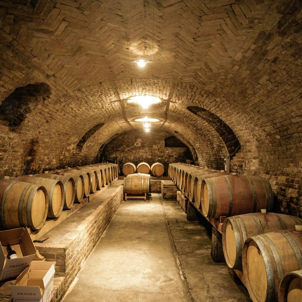 Agliano Alb Naturalmente Wine Resort1