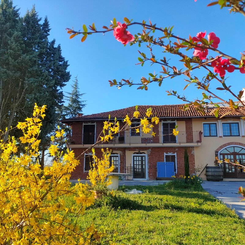 Accomodation - Farmhouse - CA' MARIA - Monferrato