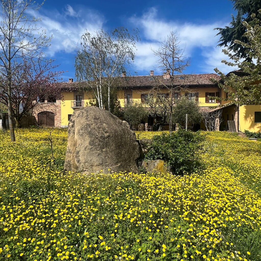 Calosso Agr Tenuta Dei Fiori1