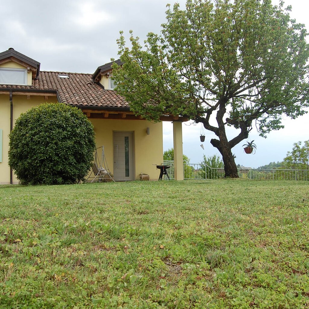 CASTELL'ALFERO CAV KOKORO'S HOME (3)