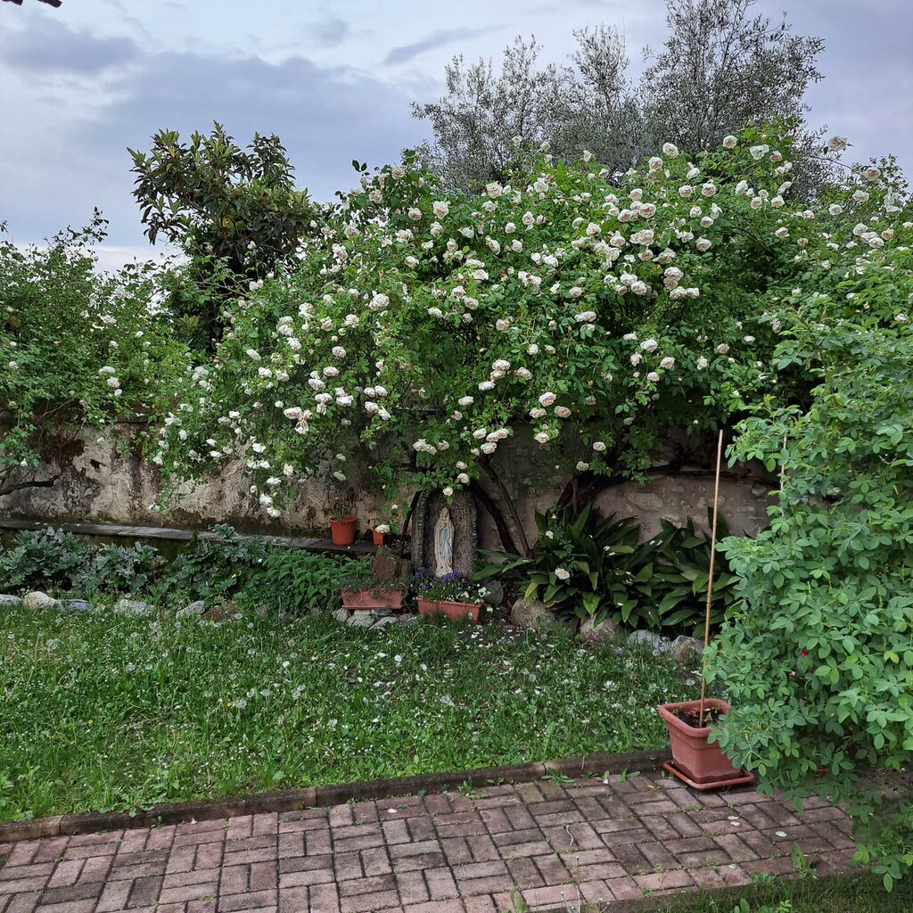 CASTELNUOVO DON BOSCO BEB LA VOLPE TRA LE VIGNE (2)