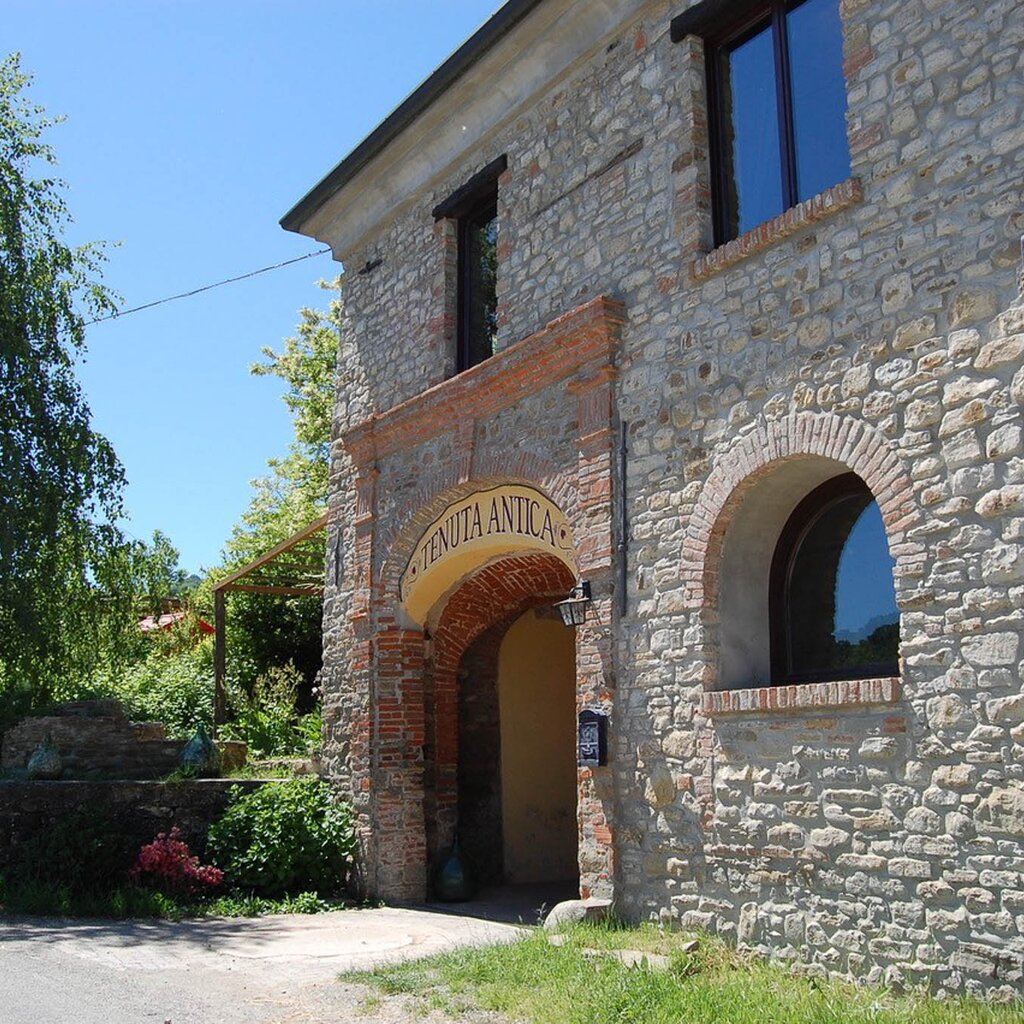 CESSOLE AGR TENUTA ANTICA 3