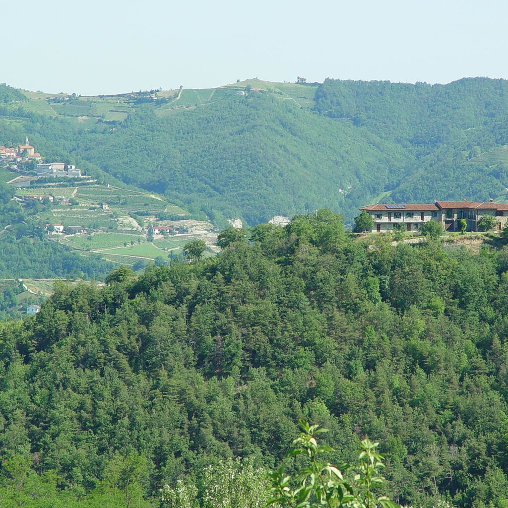CESSOLE AGR ZABALDANO (3)