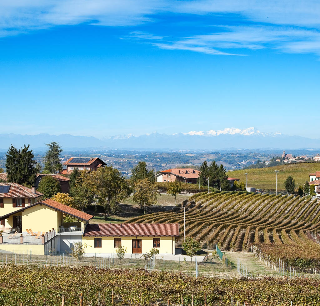 COSTIGLIOLE D'ASTI BEB LA GIBIANA (2)