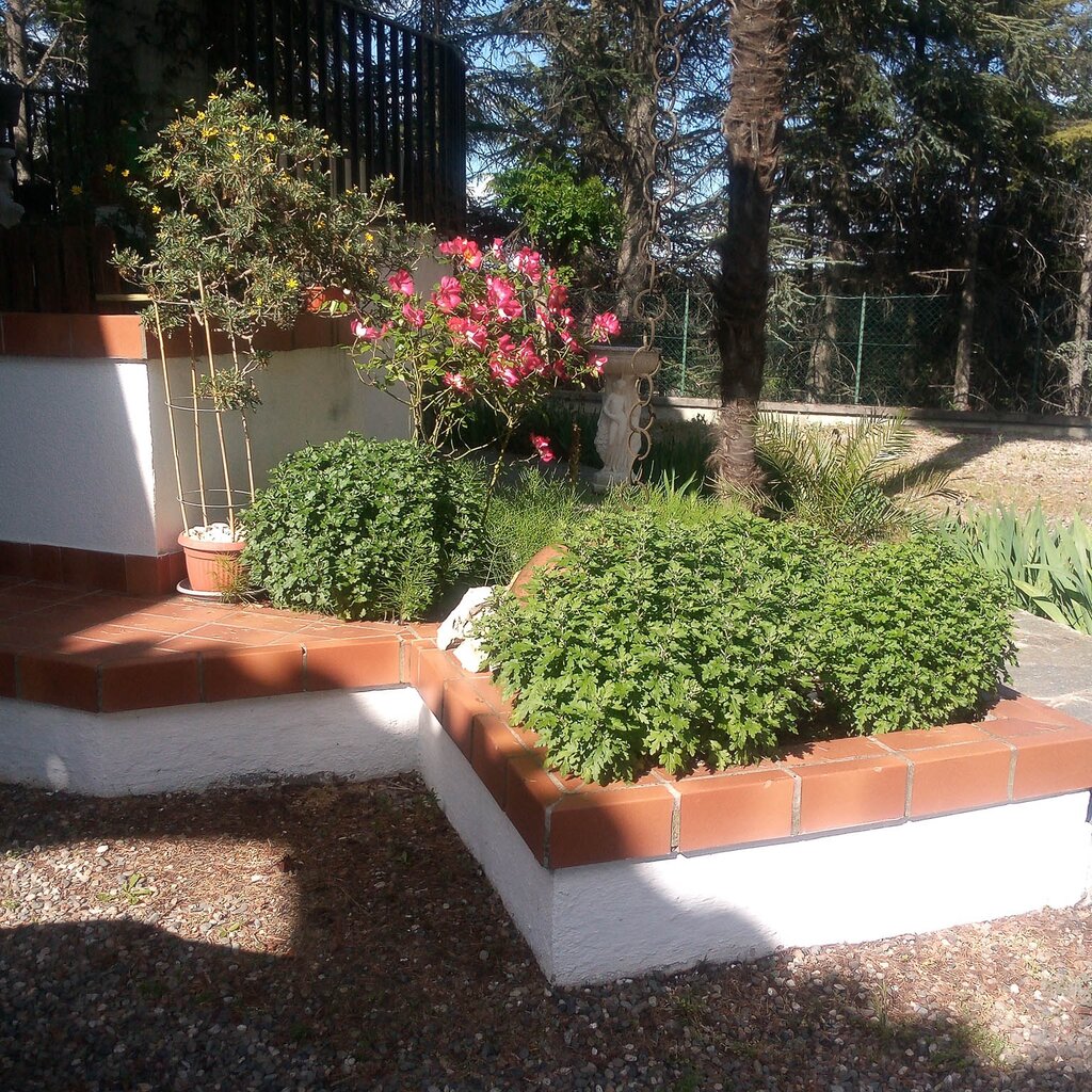 MONTABONE BEB IL GIARDINO DI MAI (3)